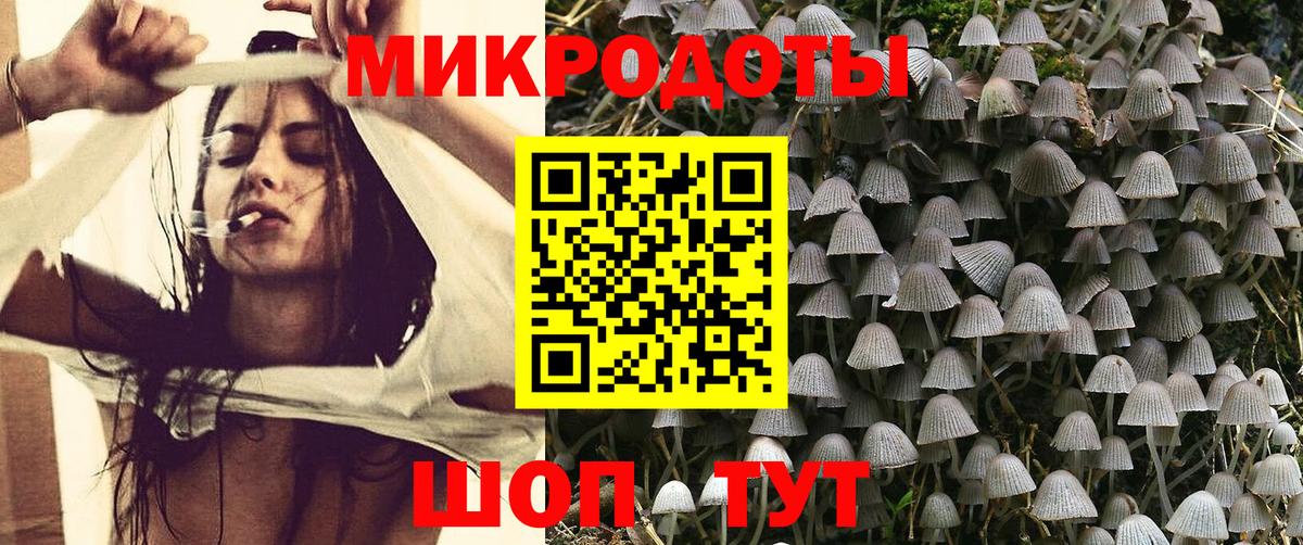 Псилоцибиновые грибы Cubensis Вязьма